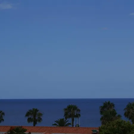 Apartamento Loft Paços Da *